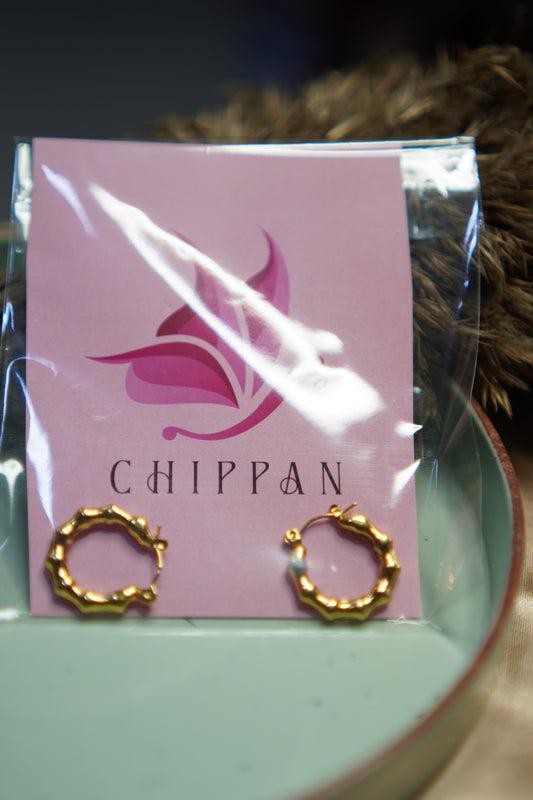 Luxe Hoops Earrings (Anti Tarnish)