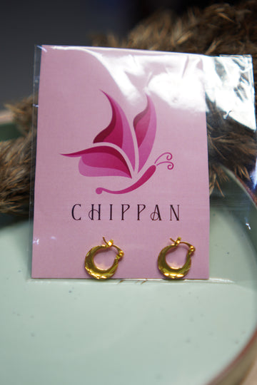 Small Hoops Earrings